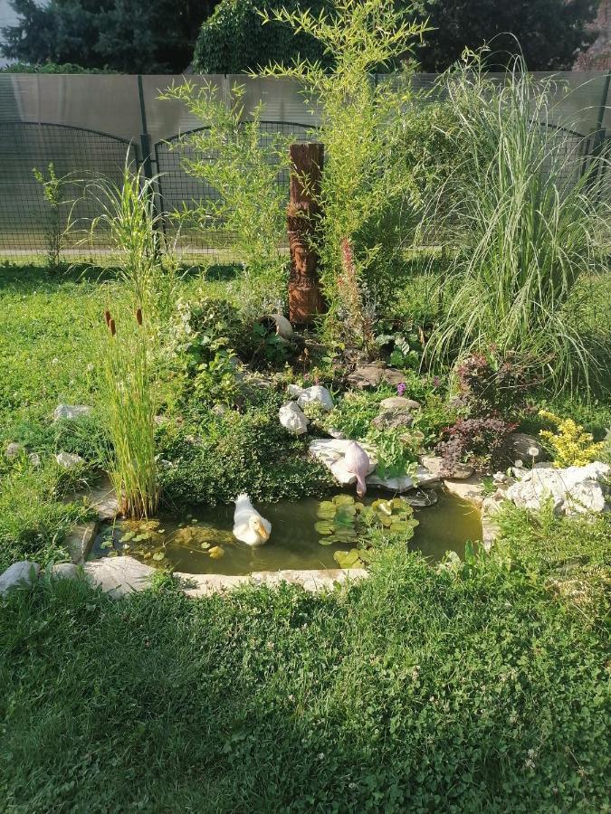 Apartman Garden House Vozdivac ภายนอก รูปภาพ